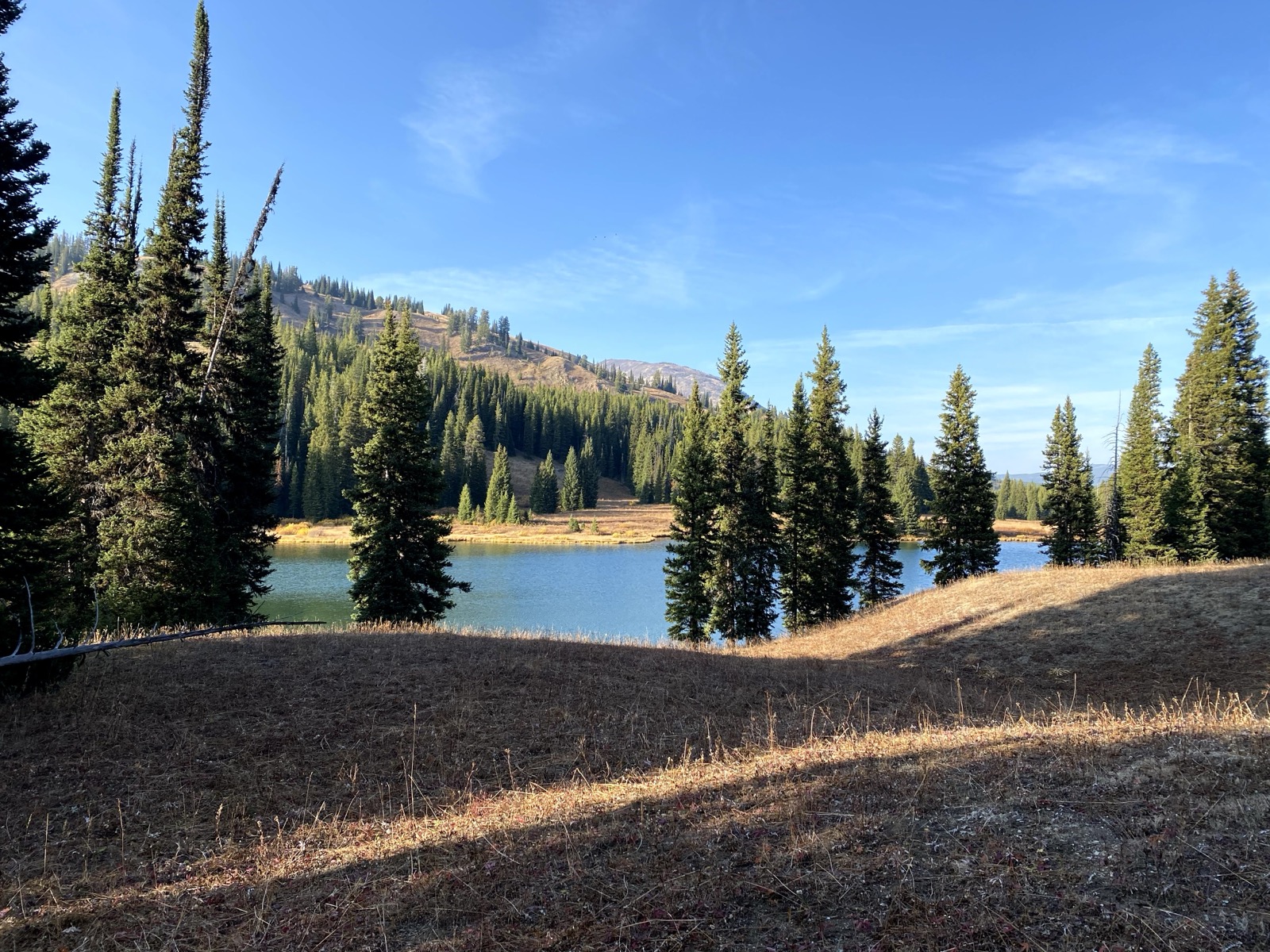 Mountain lake surrounded by evergreen trees